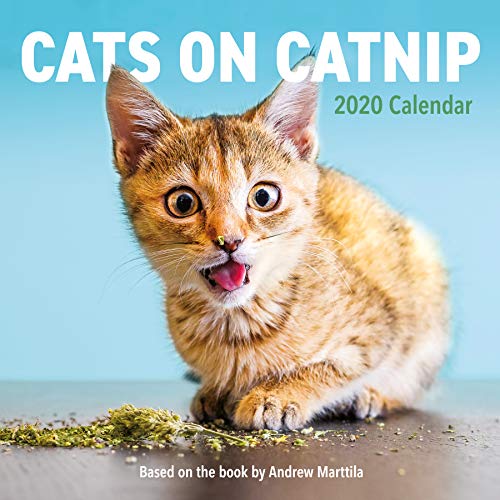 Ebooks ipod touch téléchargement Cats on Catnip 2020 Calendar by author MOBI 1523507454
