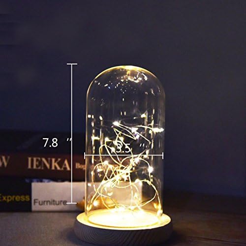 Agywell Glass Dome Lamp Bell Jar Display Dome wooden Base Battery and USB Operated LED Fairy Light ideal for Decoration Anywhere. (7.8inch)