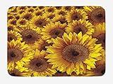 DECORATIVE BATH MAT - You can also place it in your kitchen or anywhere else you need a cozy step.