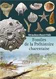 Image de Fossiles de la Préhistoire charentaise