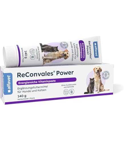 l-carnitin für hunde Tierarzt24 CARNITIN FORTE unterstützt als Energiebooster das Hundeherz - Mit und Vitamin B12. Erhöht die Immunabwehr Forever Young