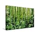 Produktbild Calvendo Premium Textil-Leinwand 45 cm x 30 cm quer, EIN Motiv aus dem Kalender Bambus | Wandbild, Bild auf Keilrahmen, Fertigbild auf echter Leinwand, Leinwanddruck: Im Bambuswald Natur Natur