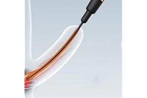 ZJZFL Multi-Vitesse, Puissant, étanche Portable pour Une Utilisation n'importe où