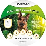 Fabricado en cerámica. DoDola Ceramics - Maceta 3D de unicornio