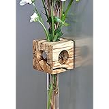 Magnetvase Buche gestockt Blumenvase Test Tube Vase