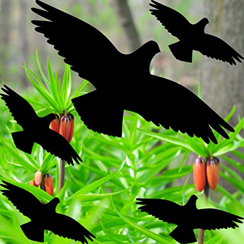 Warnvogel Set Vogel Vögel Warnvögel Silhouette Aufkleber die cut Tattoo Fenster Schutz gegen Vogelschlag Deko Folie (1 Set schwarz) - 2
