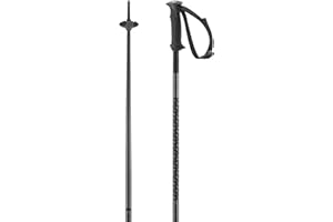 SALOMON Polar, Alpine Poles WSE,