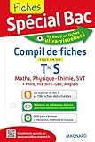 Compil de fiches tout en un Tle S : Maths, Physique-chimie, SVT, Philosophie, Histoire-géo, Anglais