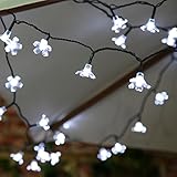 Guirlande Solaire Fleur 50 LED 5 Mètres par Festive Lights (Blanc)