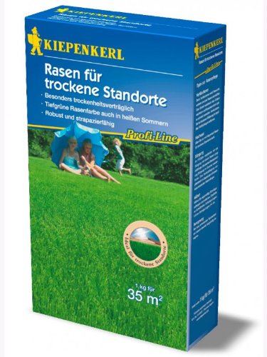 Rasenmischung Rasen für trockene Standorte