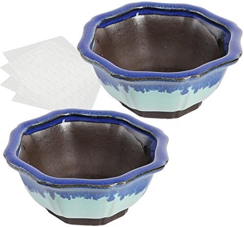 Happy Bonsai Small Glazed Pots, Value Set of 2 + 4 Soft Mesh Drainage Screens