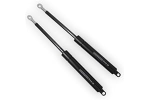 Bs Group - Juego de 2 Amortiguadores Descanso Hidráulicos o Resortes para Canapé - para Camas abatibles frontal y lateral, elevables y Sofas cama- Amortiguador canape 350n