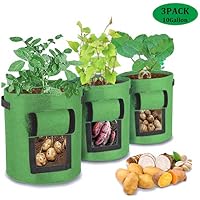 Bolsas para plantas | Amazon.es