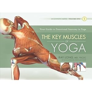 The Key Muscles of Yoga: Scientific Keys Volume I (English Edition)