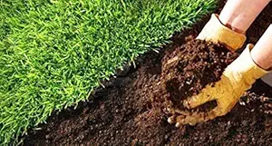 Creative Farmer Natural Fertilizer and Pesticide Vermi Compost for Kitchen Garden (1 kg)