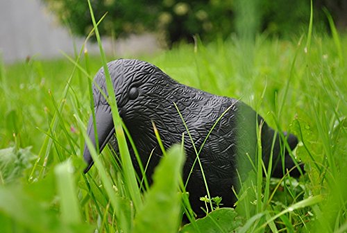 Taubenschreck 40 cm Vogelschreck Krähe Rabe Taubenabwehr Schreck #783 - 4