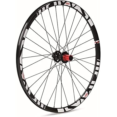 Piñón De Rueda Libre Para Bicicleta De 3 Velocidades - 16/19/22T, Metal, Compatible Con Bicicletas De Montaña Y Carretera
