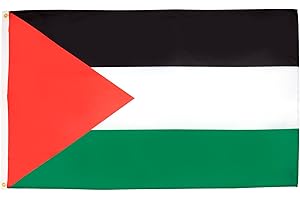 AZ FLAG - Drapeau Palestine - 90x60 cm - Drapeau Palestinien 100% Polyester Avec Oeillets Métalliques Intégrés - Pavillon 50 g