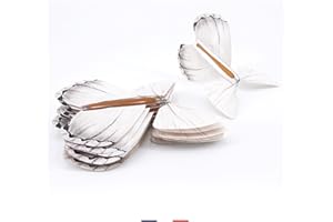 LE PAPILLON MAGIQUE 10 Papillons Magiques Volants Blancs à insérer dans Une Carte, Un Faire-Part, spécial Mariages, Fêtes, Anniversaires