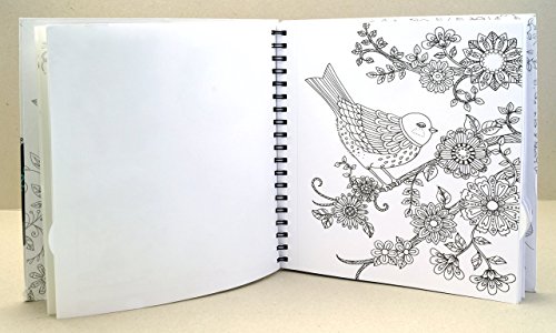 Chameleon Pen Malbuch „Loris Art Garden Coloring Book“ 20 Malvorlagen - 6