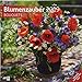 Produktbild Blumenzauber 2019, Wandkalender / Broschürenkalender im Hochformat (aufgeklappt 30x60 cm) - Geschenk-Kalender mit Monatskalendarium zum Eintragen