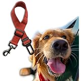 JUYUAN Hunde-Sicherheits-Gurt fürs Auto - Nylon mit doppel Griff Leine – stoßdämpfend, Erweitbare Bungee – Verstellbarer Gürtel - passend für alle Hunderassen - mit besonders elastischer Ruckdämpfung für maximalen Komfort - höchste Sicherheit für Dich und Deinen Hund