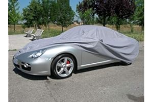 Spinelli Citroen Dyane Telo COPRIAUTO MOD. California Felpato E Impermeabile