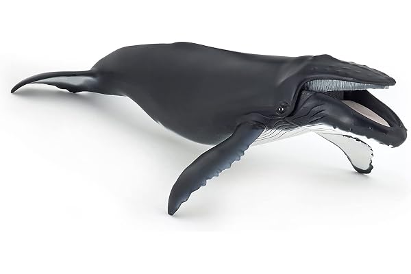 Papo - Figurine Baleine à bosse réaliste jouet enfant - 3+ - Collection Univers Marin - Jeu éducatif exploration marine - idée cadeau jouet fille garçon - 29 cm x 16.3 cm x 12.8 cB