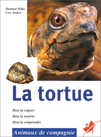 couverture de : La tortue
