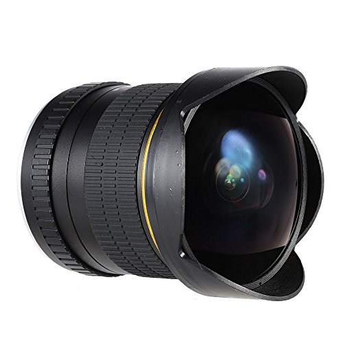 Andoer Kelda 6 5mm f 3 5 Professional Camera asph rique circulaire Ultra Fisheye pour Canon Rebel XT SL1 XTi XSi XS T5 T5i T4i Appareils photo num riques SLR reviews Andoer Kelda 6 5mm f 3 5 Professional Camera asph rique circulaire Ultra Fisheye pour Canon Rebel XT SL1 XTi XSi XS T5 T5i T4i Appareils photo num riques SLR