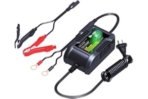 SKYRICH - Caricabatterie intelligente per batteria al litio 12 V, 2 Ah, HBC-LF0202 per moto