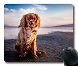 4.Es ist auch eine gute Idee, es als Geschenk zu senden Ihre Freunde;
