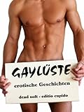 Cover zum Buch Gaylüste