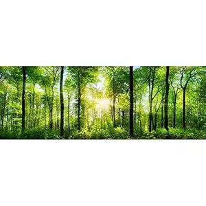 Pitaara Box Forest Scenery D2 Peel & Stick Vinyl Wall Sticker 55.9 X 20Inch