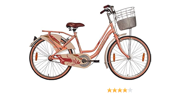 Buy Amazing Bikes Hero Miss India Reeva 