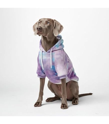 SHIJIAN Fluffsy Kat en Hond Pouch Hoodie Unisex, Hooded Sweatshirts Pouch Hood Trui, Kat Eared Kangaroo Pouch Sweatshirt Hoodie (XXL, zwart