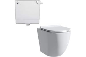 Robanmoa Rimless Back to Wall Toilet and Concealed Cistern Comfort Height Toilets, BTW High Bathroom Toilets White Ceramic WC Pan Soft Close Seat Modern Round Compact Toilet