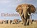 Elefanten - die sanften Riesen Afrikas 2019, Wandkalender im Querformat (54x42 cm) - Tierkalender mit Monatskalendarium by 