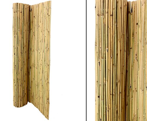 Bambus Matte Bali, extrem stabil, 200 x 300 cm, mit Draht durchbohrt und verbunden - 3