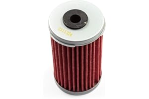 HIFLOFILTRO Filtro de aceite Hiflo HF169 para Daelim