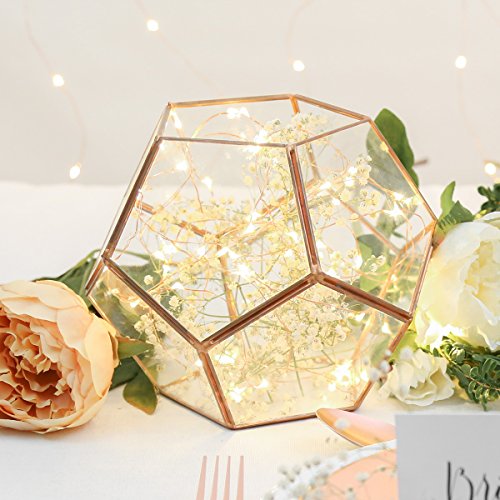 Vase Mini Gewächshaus Terrarium aus Glas und Metall Farbe Kupfer 15,8 cm von Festive Lights - 7