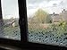 Produktbild Milchglas Folie Fenster folie Flower Blume 90cm Breit 7,77€/m² (1m x 90cm Floris)