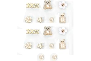 ZUWIJEQ 16 PCS Charmes de Chaussure, Charms de Chaussure, Accessoires de Chaussure en Strass, Décorations de Chaussures de Bricolage, pour Adultes, Femmes et Filles, Bricolage, Cadeau d'anniversaire