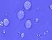 70CM CHILDRENS BEANBAG - ROYAL BLUE Bean bag Chair Stain & Water Resistant