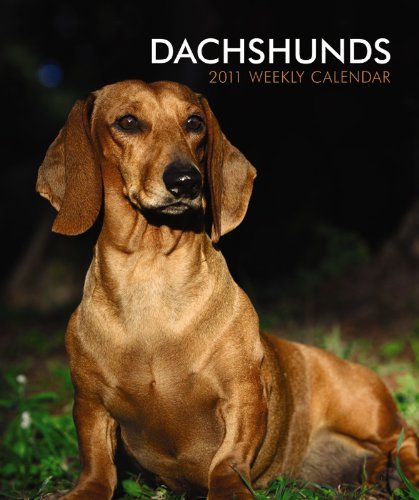 Dachshunds 2011 Hardcover Weekly Engagement (Multilingual Edition) by BrownTrout Publishers Inc (2010-06-28)