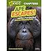 Produktbild Ape Escapes!: And More True Stories of Animals Behaving Badly (National Geographic Kids Chapters) (Hardback) - Common