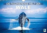 Die faszinierende Welt der Wale (Wandkalender 2015 DIN A4 quer): Wale: In den Tiefen der Ozeane (Monatskalender, 14 Seiten) (CALVENDO Tiere) by 