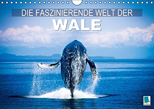 Die faszinierende Welt der Wale (Wandkalender 2015 DIN A4 quer): Wale: In den Tiefen der Ozeane (Monatskalender, 14 Seiten) (CALVENDO Tiere)