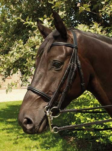 Heritage English Leather Horses Double Bridle