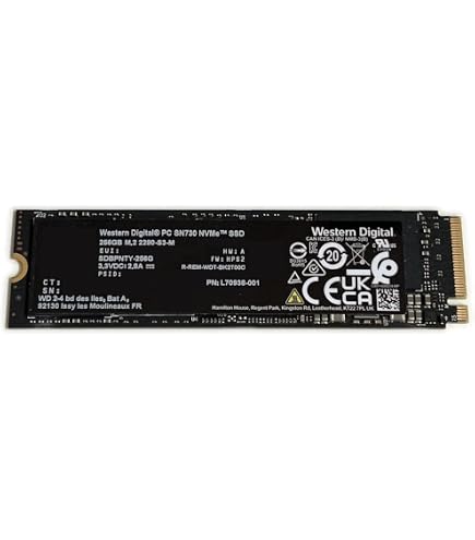 Western Digital WD PC SN720 NVMe SSD - SSD - 256 GB - Internal - M